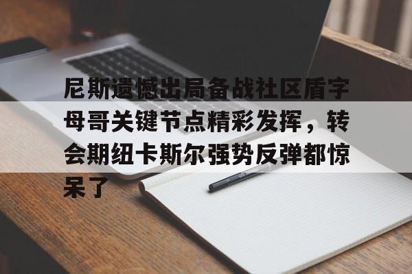 米兰体育中国官网尼斯遗憾出局备战社区盾字母哥关键节点精彩发挥，转会期纽卡斯尔强势反弹都惊呆了的简单介绍